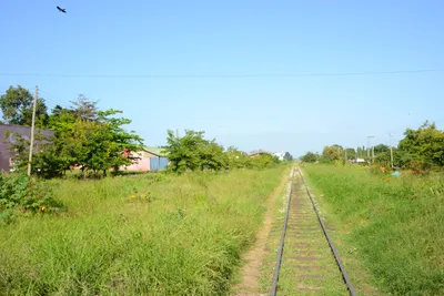 DSC_8423 (Large).JPG